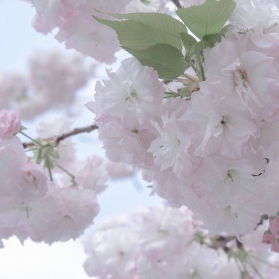 叙州FurryQQ群介绍